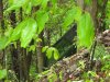 IMG_0009.JPG