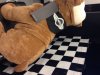 PlushBulldoglarge2.jpg