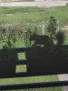 ImageUploadedByTapatalk1411920061.487129.jpg