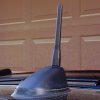 Sport Antenna.3.jpg