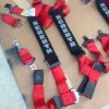 Schroth Harness.2.jpg