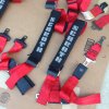 Schroth Harness.3.jpg
