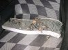 DSC05104.JPG