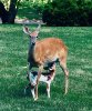 IMG_6593.jpg