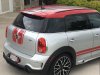 Lucy Stripes 6-8-17 Rear Top.jpg