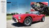 ACCobra001.jpg