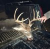 IMG_1669.jpeg