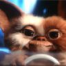 Gizmo