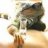 GreenIguana