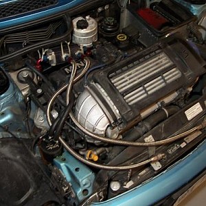 2185.jpg