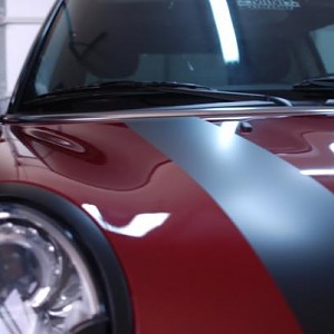 3597.jpg