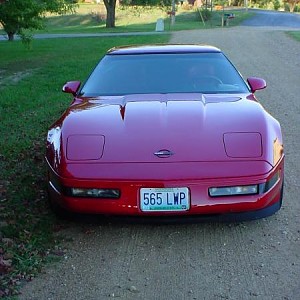 3725.jpg