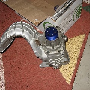 3741.jpg