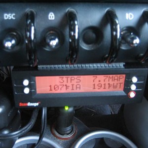 3912.jpg