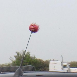 3953.jpg