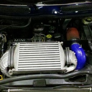 4338.jpg