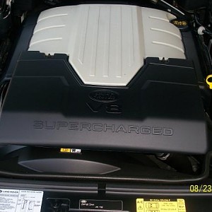 4525.jpg