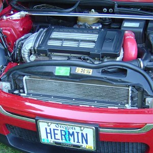 4765.jpg