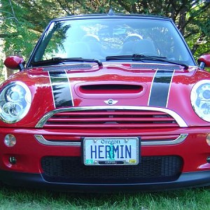 4767.jpg