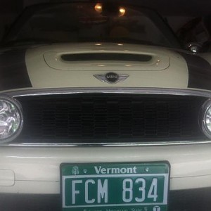 5193.jpg