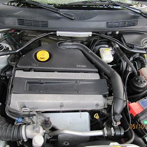 5560.jpg