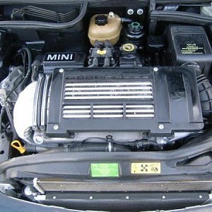 5590.jpg