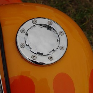 6231.jpg