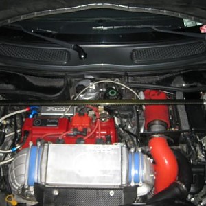 6595.jpg