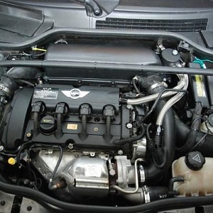 6619.jpg