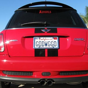 6905.jpg