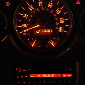 7313.jpg