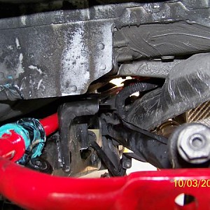 7580.jpg