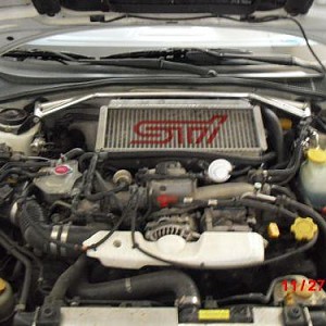 7753.jpg