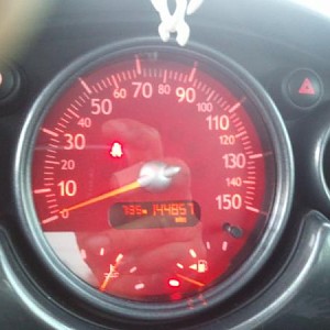 7906.jpg
