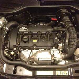 7971.jpg