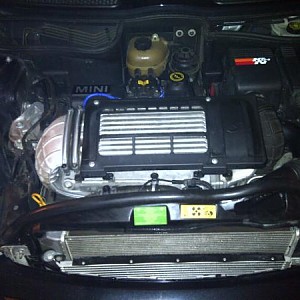 8204.jpg
