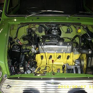 8233.jpg