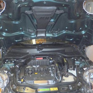 8503.jpg