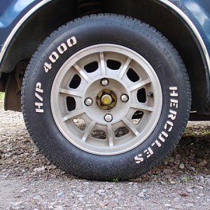 8647.jpg