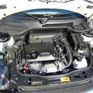 8900.jpg