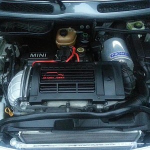 9146.jpg