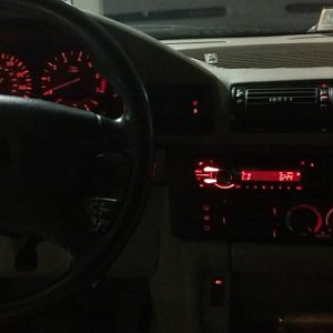 9811.jpg