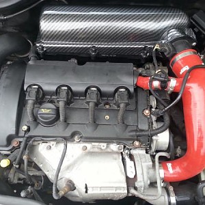 10790.jpg