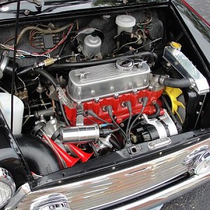 11958.jpg