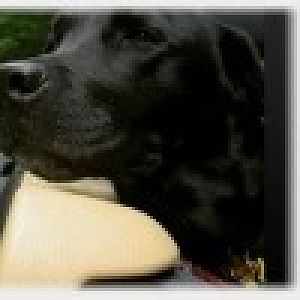 sigpic12064_5_gif