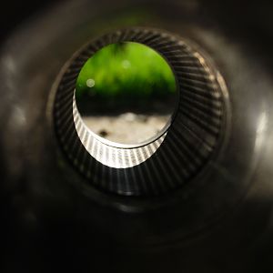 internal