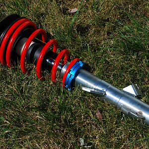 assembled strut