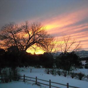 XMAS MORNING, '08
