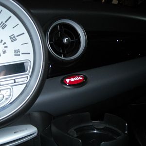PASSENGER CONTROL SYSTEM