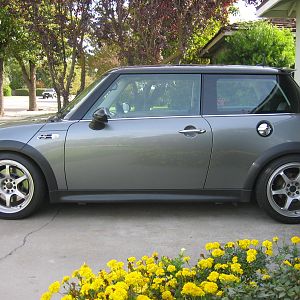OldGray 4 Sale